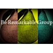 Be Remarkable Group Inc.