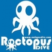 Roctopus Dive