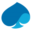 Capgemini