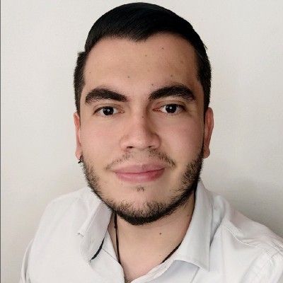 Luis V
