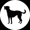 The Labrador App