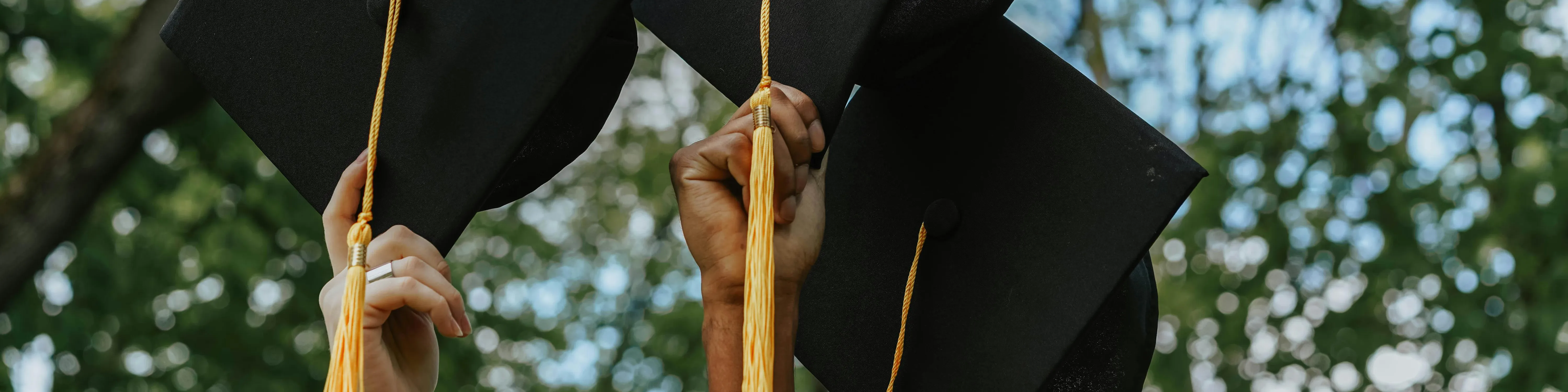 Invierte en Universidades