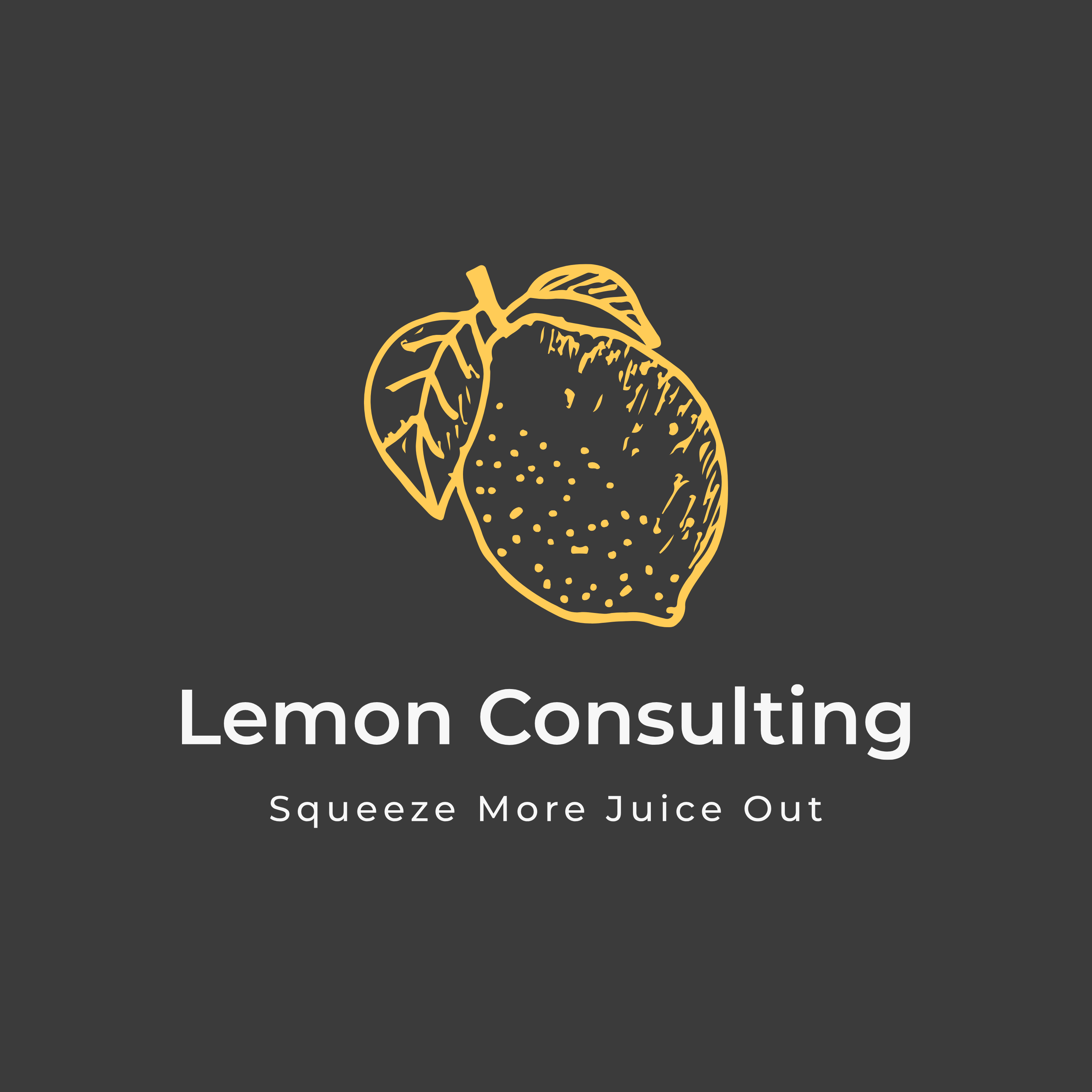 Startup fractional CMO